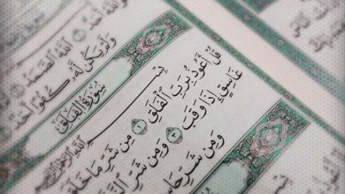 Photo of اتركي الحسد قبل أن يأكلكِ