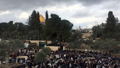 Photo of الآلاف يصلون الجمعة في الأقصى رغم تشديدات الاحتلال
