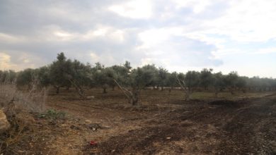 Photo of من مشروع تطوير إلى تدمير.. “تحلية المياه القطري”: مخطط يهدد بمصادرة آلاف الدونمات من الأراضي العربية بالجليل الغربي