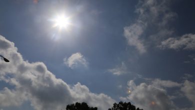 Photo of حالة الطقس: الحرارة تنخفض اليوم ومنخفض جوي ماطر غدًا