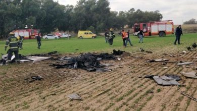 Photo of مستوطنون يقطعون 400 شجرة عنب بقرية ترمسعيا