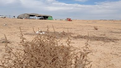 Photo of جمعية “رغفيم” تواصل حملاتها العنصرية السافرة ضد النقب (شاهد)