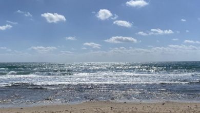 Photo of حالة الطقس: ارتفاع في درجات الحرارة