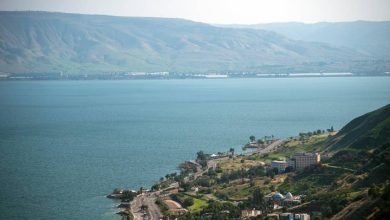 Photo of حالة الطقس: أجواء دافئة