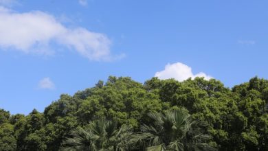 Photo of حالة الطقس: أجواء صافية وباردة نسبيًا