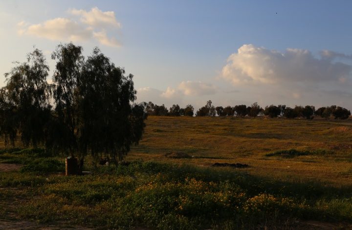 صورة من العراقيب