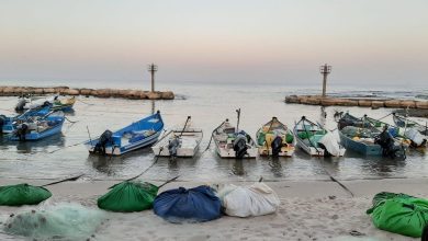 Photo of الصيادون يعارضون إدراج اللوكس ضمن قائمة الأسماك المحمية