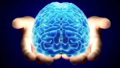 Photo of نستخدم 10% منه والموسيقى تحفز الذكاء.. 5 خرافات عن الدماغ دحضها العلماء