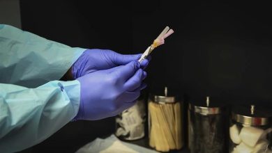 Photo of قلق بين الأوساط العلمية بسبب سلالة كورونا الجديدة