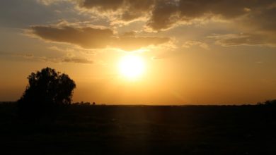 Photo of حالة الطقس: الحرارة ترتفع وأعلى من معدلها