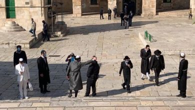 Photo of 153 مستوطنًا يقتحمون باحات المسجد الأقصى