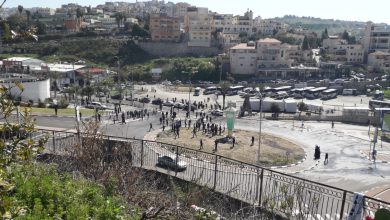 Photo of رئيس المجلس الإسلامي للإفتاء في الداخل الفلسطيني: تحية إجلال وإكبار للحراك الفحماوي الموحّد