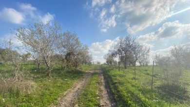 Photo of حالة الطقس: أجواء صافية إلى غائمة جزئياً