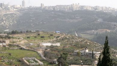 Photo of قوات الاحتلال تستولي على 19 دونما جنوب قلقيلية