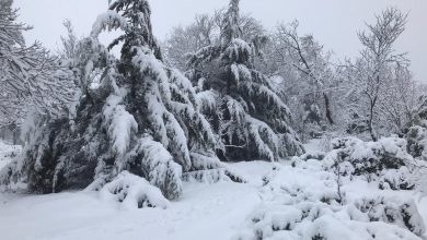 Photo of الثلوج تكسو جبال الجليل والجولان