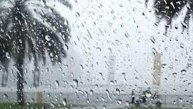 Photo of حالة الطقس: انخفاض حاد بدرجات الحرارة واستمرار هطول الأمطار