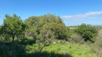 Photo of حالة الطقس: أجواء حارة