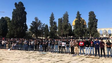 Photo of 25 ألفًا يصلون الجمعة في الأقصى