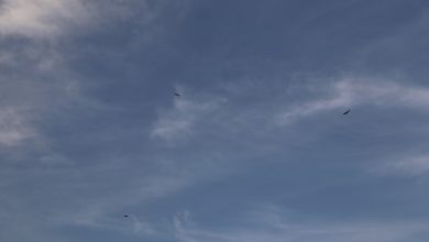 Photo of حالة الطقس: انخفاض طفيف على درجات الحرارة