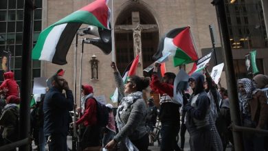 Photo of فلسطينيو شيكاغو ينجحون في إسقاط مرشحة مؤيدة للاحتلال