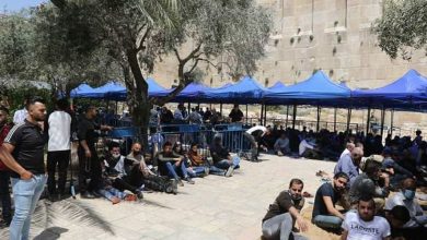 Photo of 10 آلاف يؤدون الجمعة في المسجد الإبراهيمي بالخليل