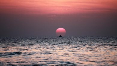 Photo of حالة الطقس: أجواء لطيفة