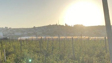 Photo of حالة الطقس: أجواء حارة