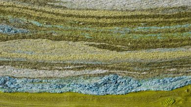 Photo of قشرة الأرض: 500 مليون سنة أكثر؟