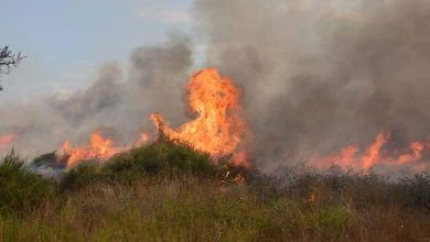Photo of ايقاف حركة القطارات في مستوطنة “سديروت” بسبب بالون حارق