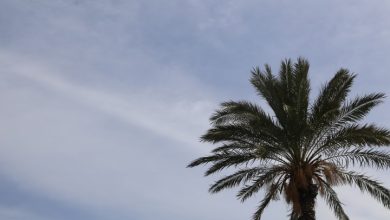 Photo of حالة الطقس: أجواء غائمة وباردة ودرجات الحرارة ترتفع قليلاً