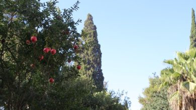 Photo of حالة الطقس: ارتفاع على درجات الحرارة