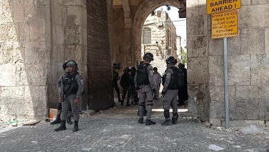 Photo of الشيخ عكرمة صبري: ما يجري بالأقصى حرب حقيقية لم تحصل منذ 1967