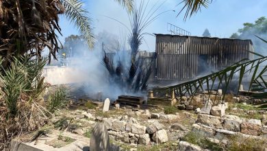 Photo of حريق في مقبرة الاستقلال في حيفا وتساؤلات حول هوية الفاعل