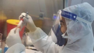Photo of الصحة الفلسطينية: وفاة و173 إصابة جديدة بفيروس كورونا