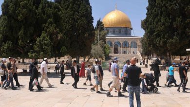 Photo of “علماء المسلمين” يطالب أحرار العالم في كل مكان بدعم الشعب الفلسطيني وحماية المقدسات
