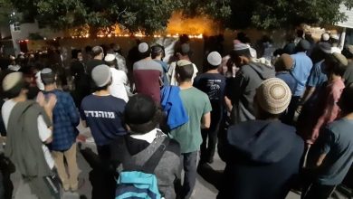 Photo of إصابة فلسطينية في هجوم للمستوطنين على قرية التوانة