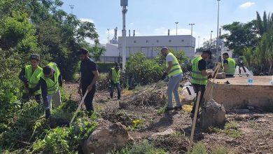 Photo of معسكر عمل تطوعي لصيانة مقبرة الاستقلال في حيفا