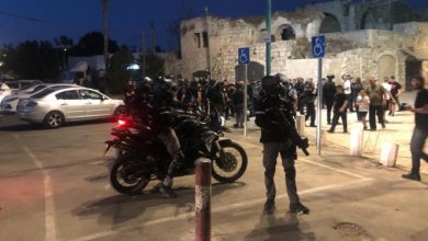 Photo of اللد: الشرطة تقمع مسيرة في وتعتقل متظاهرين