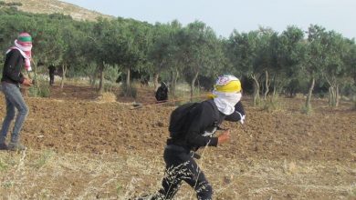 Photo of مستوطنون يقتحمون مقامًا في تقوع شرق بيت لحم