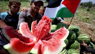 Photo of واشنطن بوست: الفلسطينيون تجاوزوا خوارزميات مواقع التواصل بـ “البطيخ”