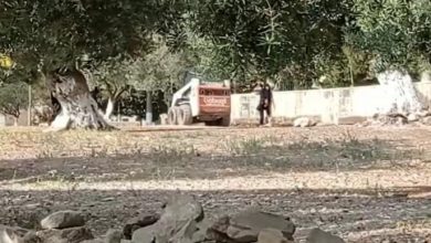 Photo of عرقلة لجنة الاعمار خلال عملها في الأقصى وتواصل اقتحامات المستوطنين