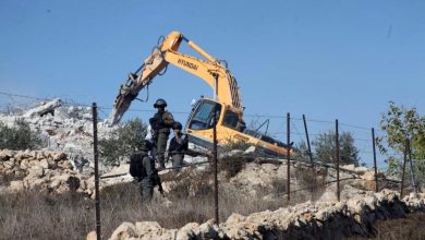 Photo of الاحتلال يجرف 300 شتلة زيتون شرقي نابلس