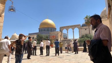 Photo of وسط حراسة مشددة: مستوطنون يقتحمون باحات الأقصى