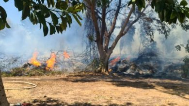Photo of بفعل الأجواء الحارة: موجة حرائق في مناطق مختلفة من البلاد