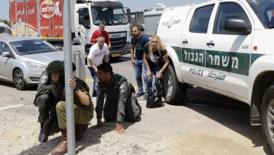 Photo of هيرست: إسرائيل تعمل ليل نهار لسحق كل أشكال المقاومة