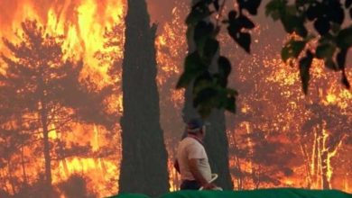 Photo of عشرات الإصابات بحريق غابات كبير جنوب تركيا