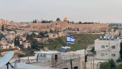 Photo of مستوطنون يضعون بالقوة سلالم حديدية داخل أرض عائلة أبو صبيح