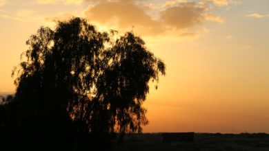 Photo of انخفاض طفيف في درجات الحرارة