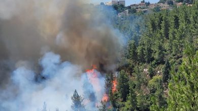 Photo of بسبب حريق في حرش.. إغلاق الشارع باتجاه القدس وإجلاء سكان