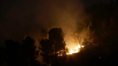 Photo of الحريق في القدس: سلطة الإطفاء والإنقاذ تتحدث عن سيطرة على الجزء الأكبر من الحريق
